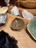 Ceramic Oyster Shells