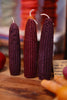 Corn on the Cobb Candle
