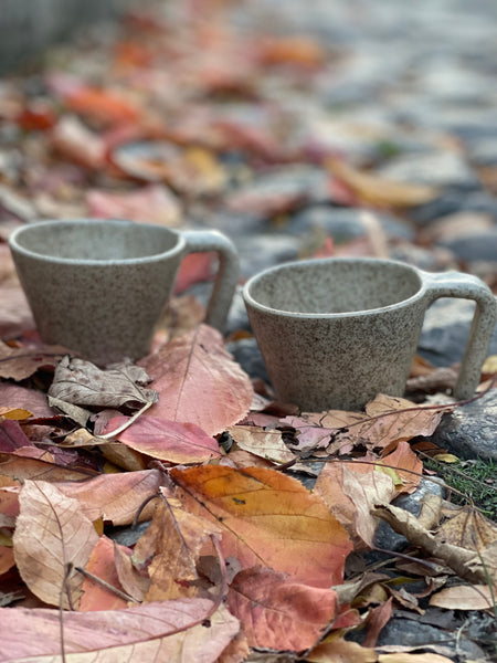 Antique Ceramic Mugs by Les Argonautes