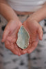 Ceramic Oyster Shells